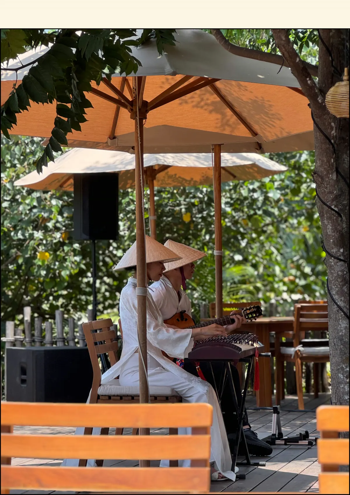 Two musicians in white and conical hats playing traditional instruments beneath garden umbrellas